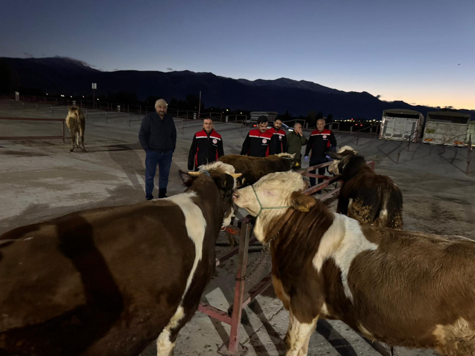 Eccdc25B 30E8 45Da 94C5 5092B582A572