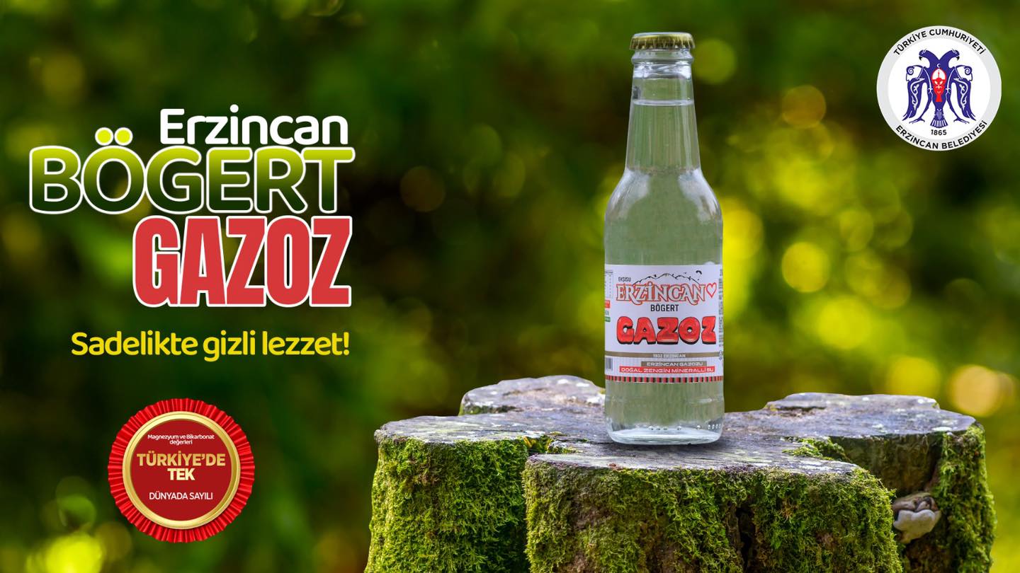 575111464 1336521688514104 5258030299517198701 N