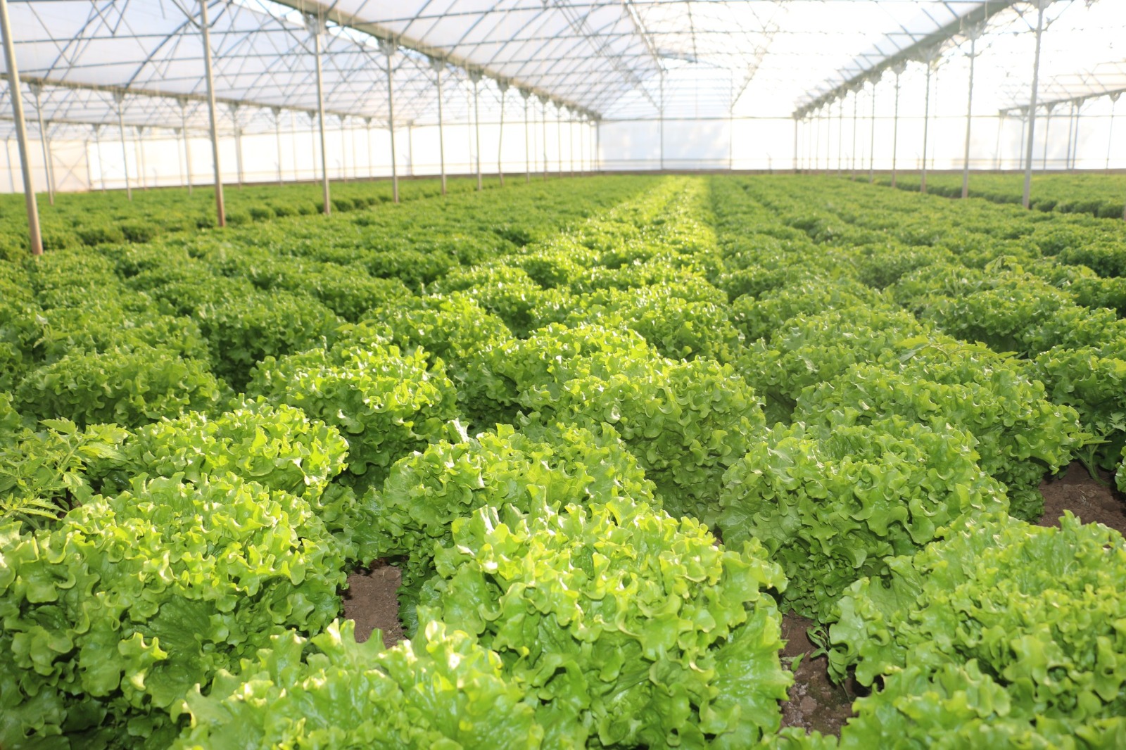 8F741F3E 2Cd4 4982 Bfb2 2Aeb7Aafd1A2