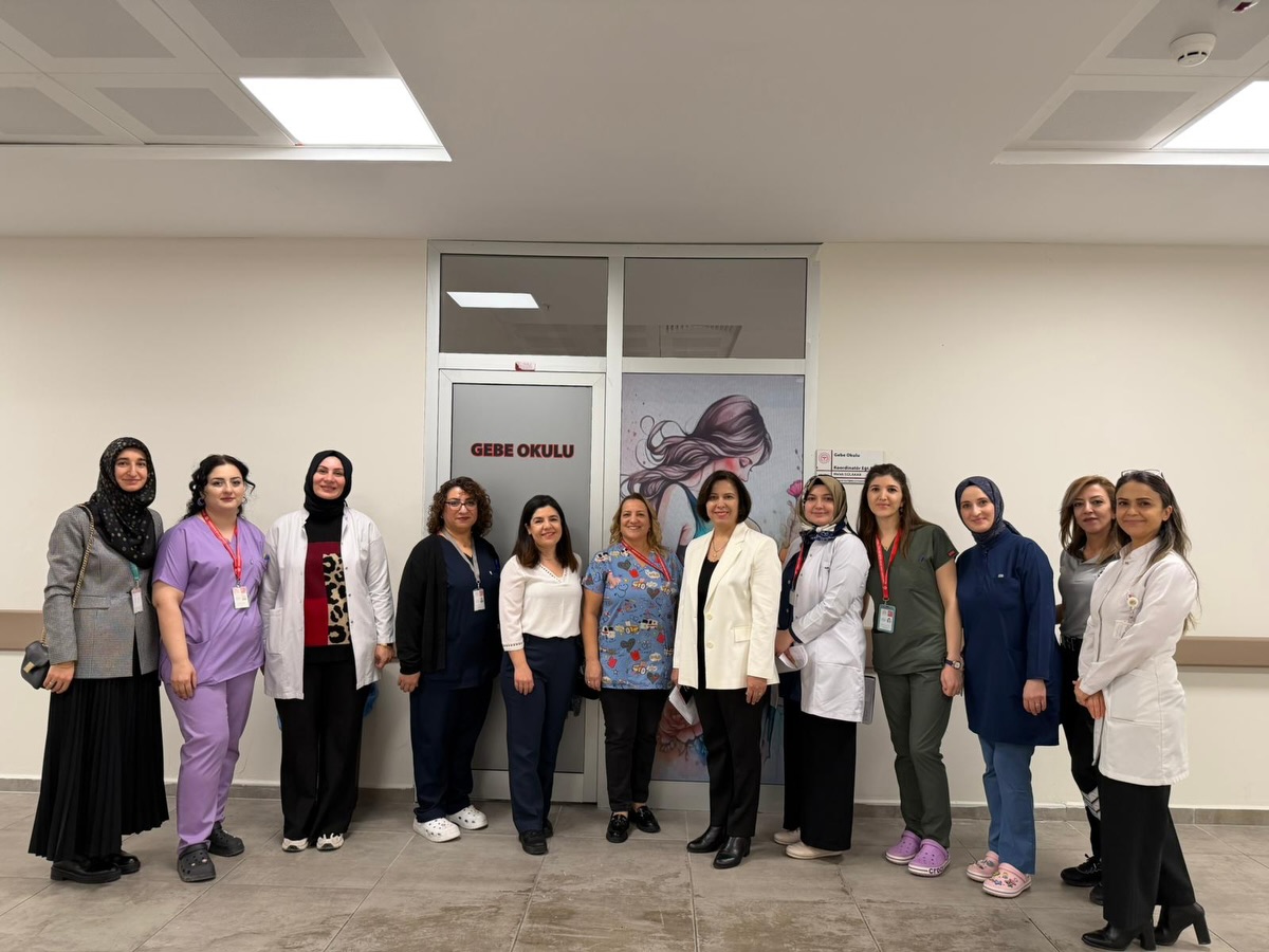 Hastane Anne Dostu 2