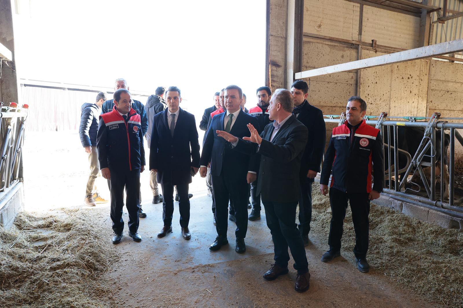 Gökbay Süt Ürünleri 1