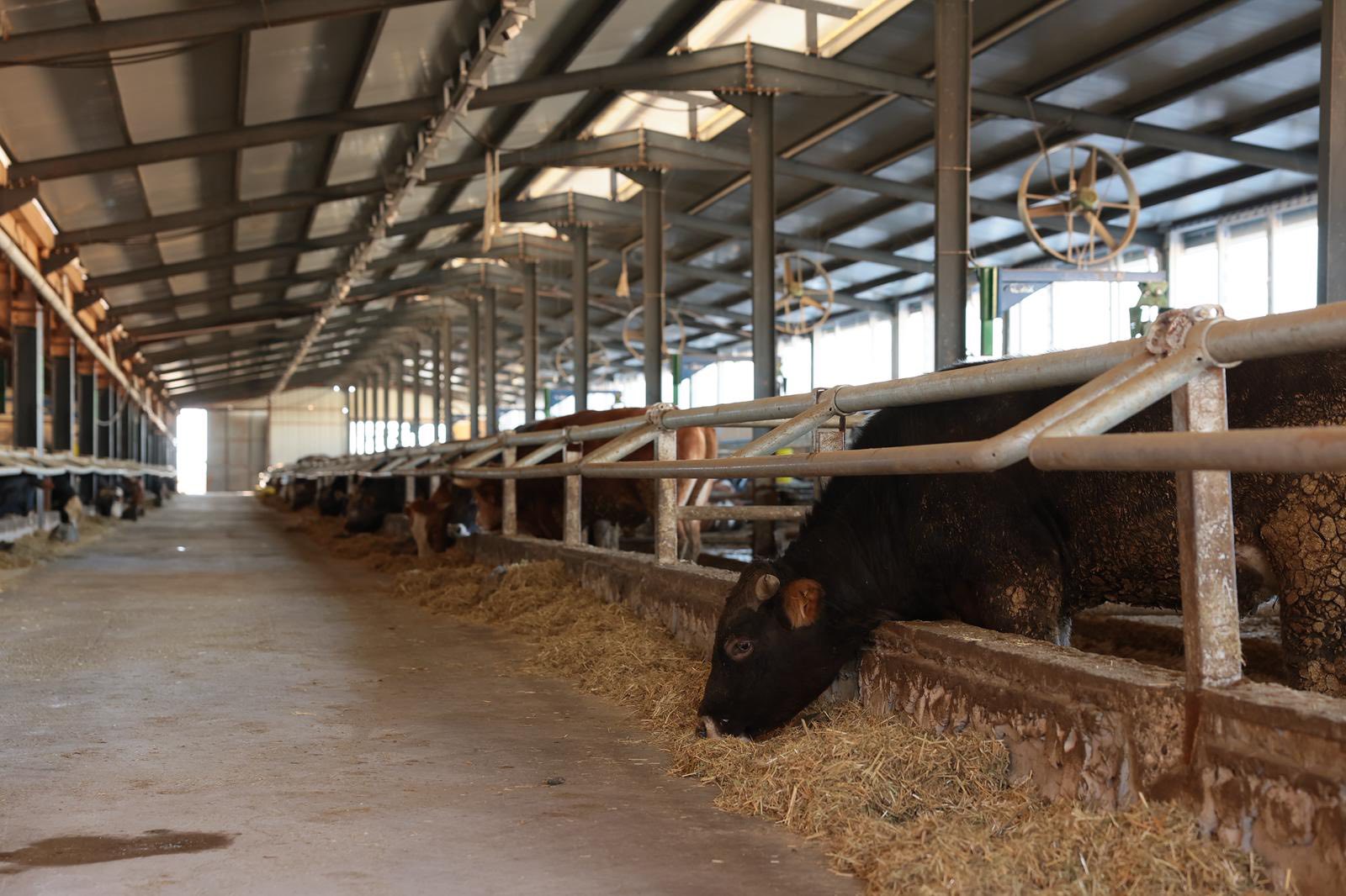 Vali̇ Besi Ziyaret 3