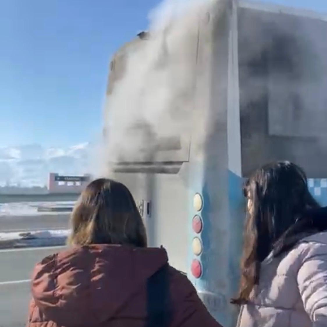 Bc97Db9E A64C 4E85 B569 D8Cf43E1Eda7-1