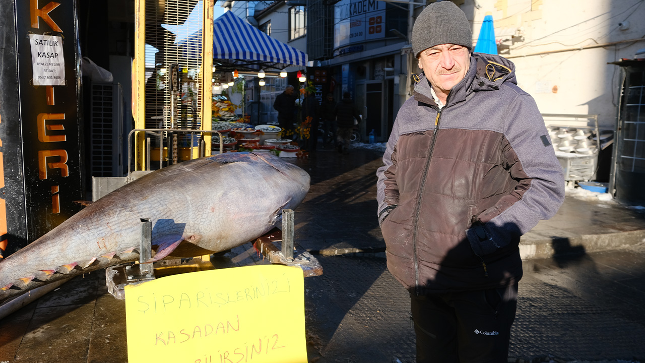 Orki̇nos Balığı 1