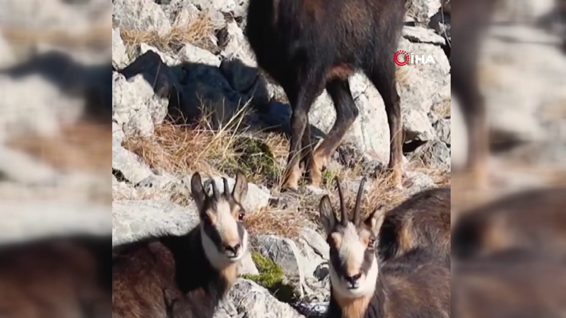 Vlcsnap 2026 01 13 15H29M07S362