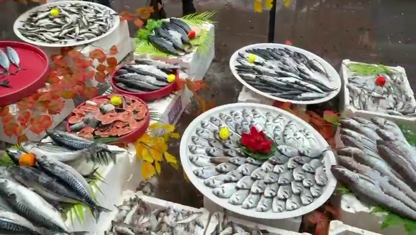 Vlcsnap 2026 01 17 15H09M35S221