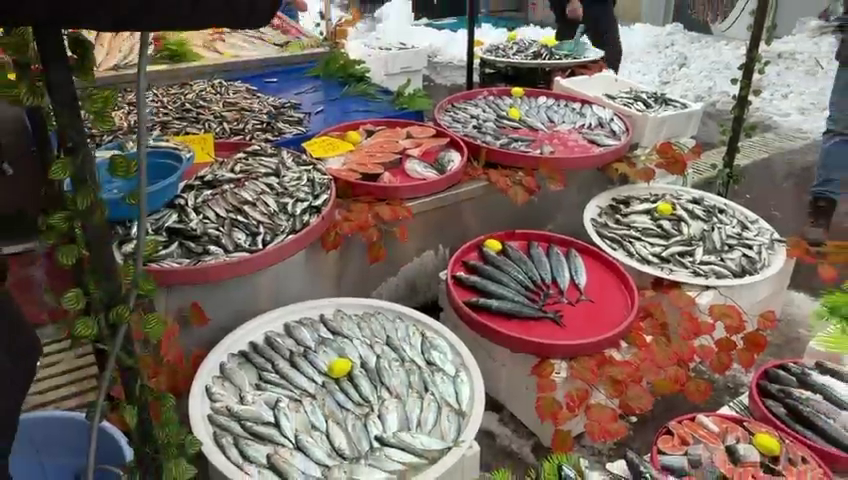 Vlcsnap 2026 01 17 15H10M11S912