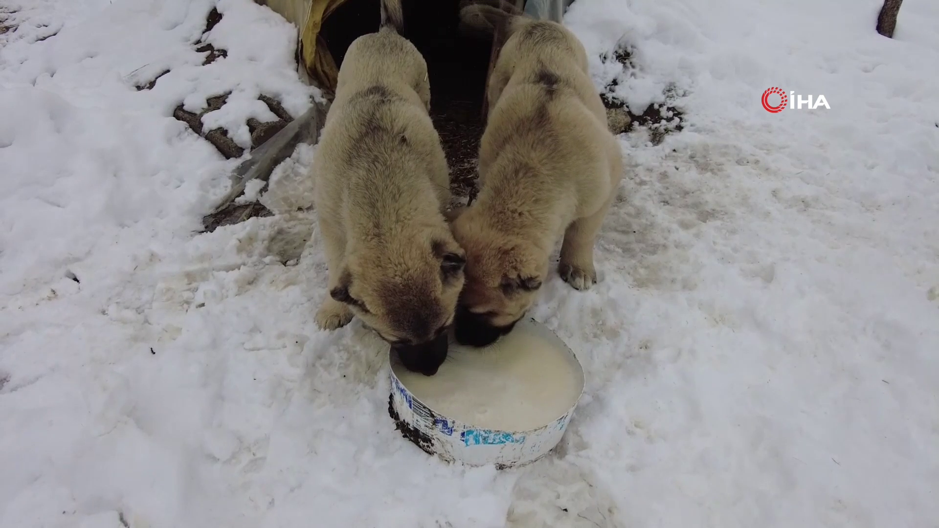 Vlcsnap 2026 01 19 10H42M43S881