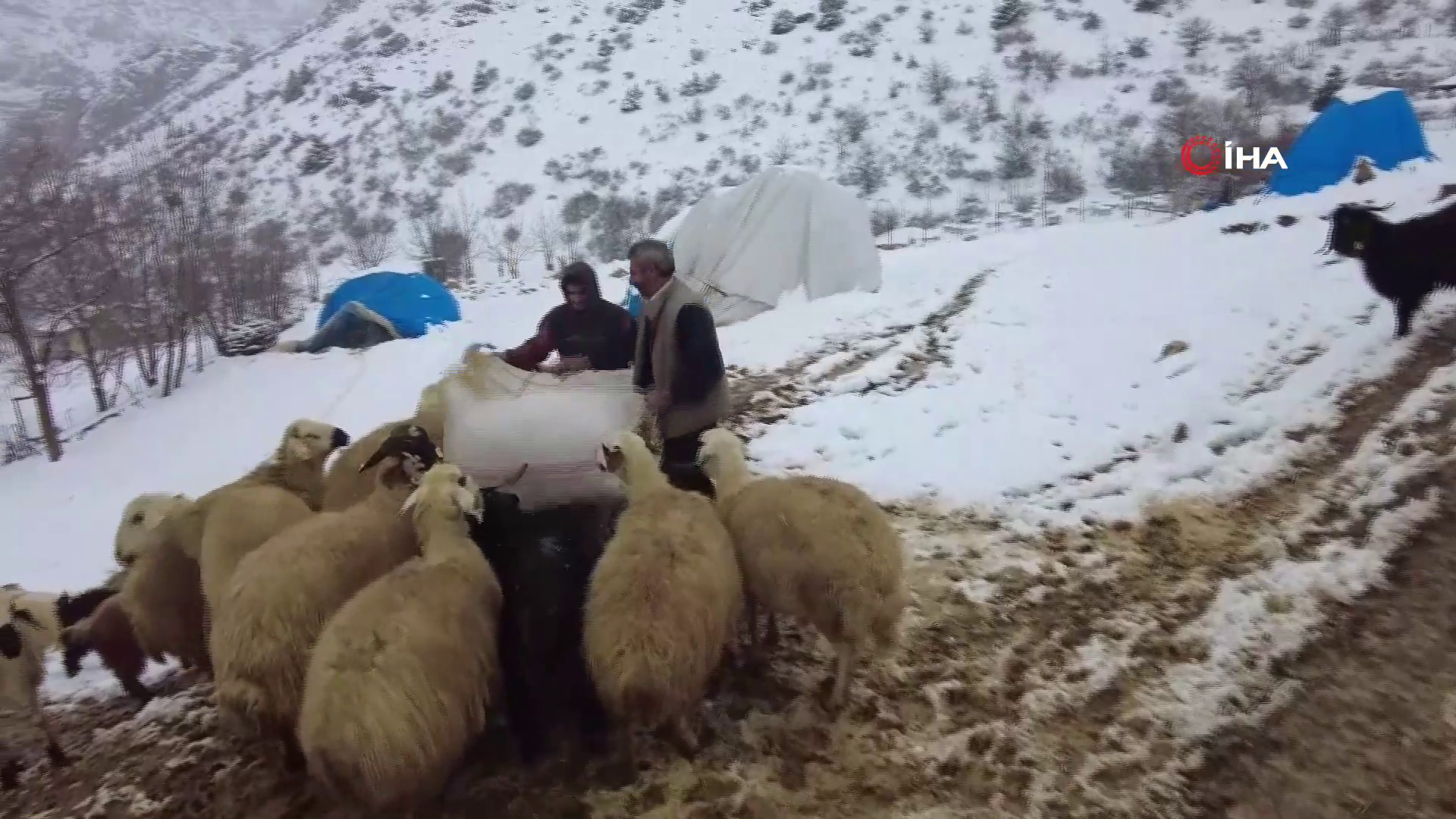 Vlcsnap 2026 01 19 10H43M01S751