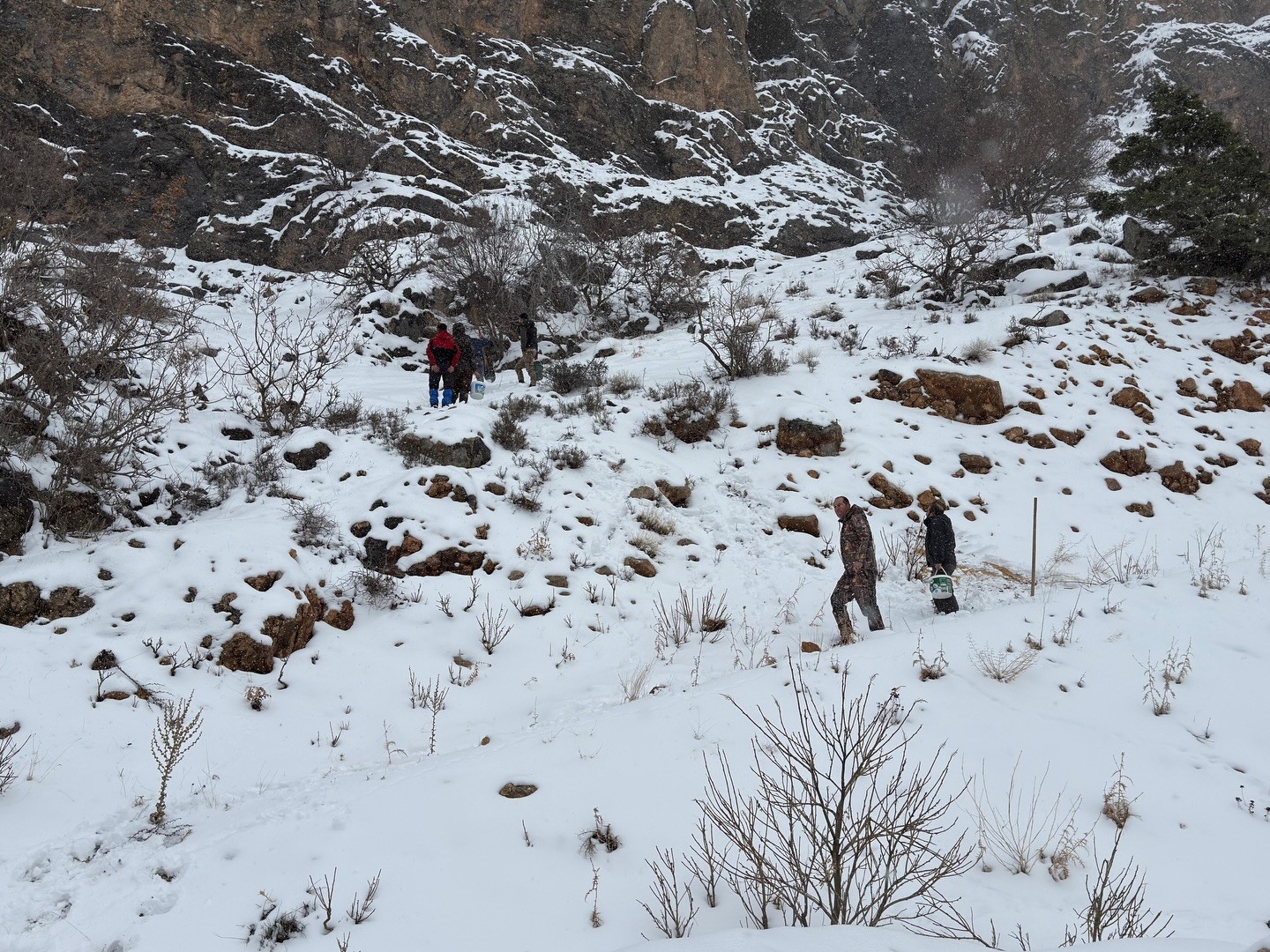 Yaban Hayvan Yemleme (4)