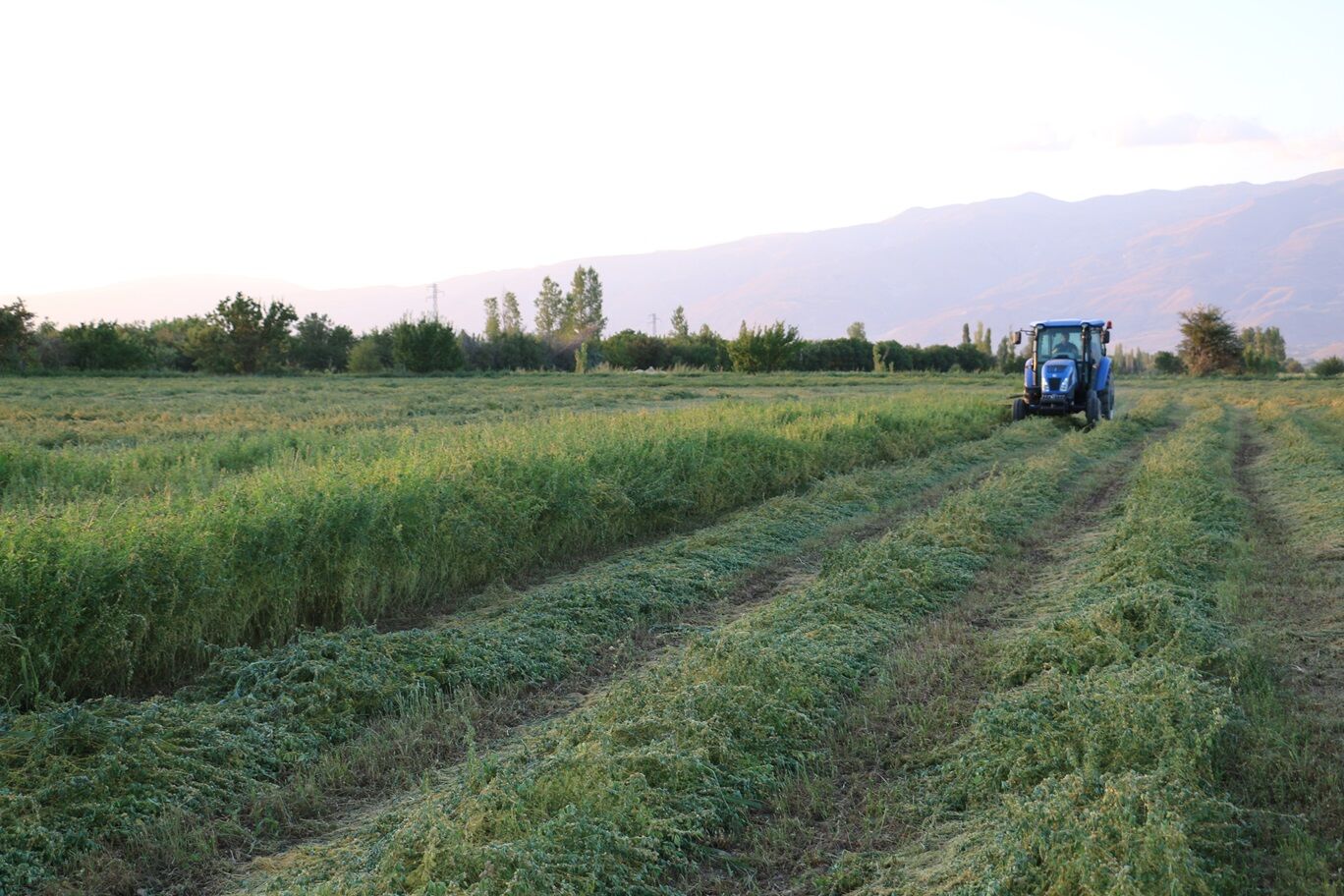 İl Tarim Hayvancilik 27 Şubat 2026 (4)