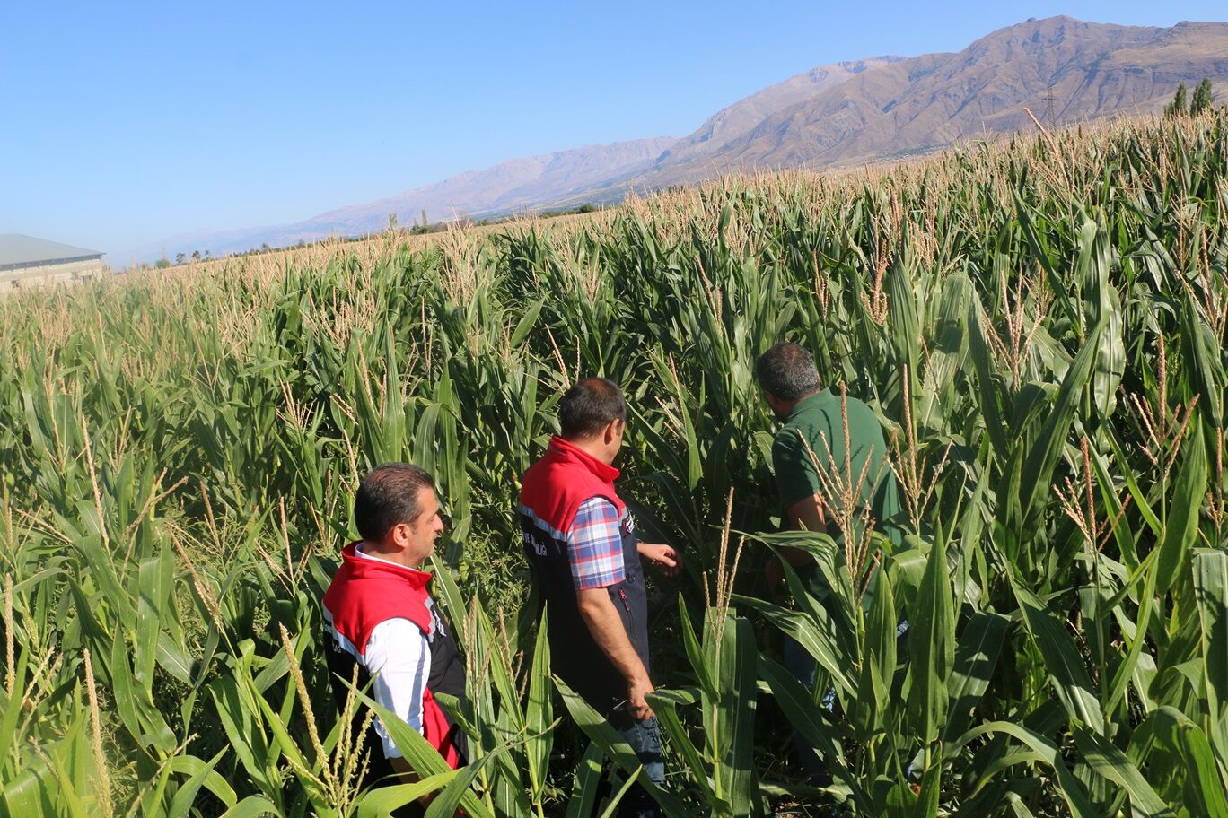 İl Tarim Hayvancilik 27 Şubat 2026 (6)