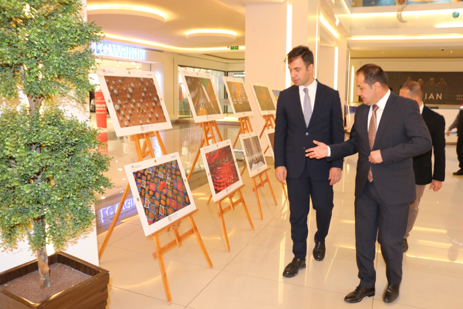 Whatsapp Image 2026 02 04 At 12.09.15 (3)