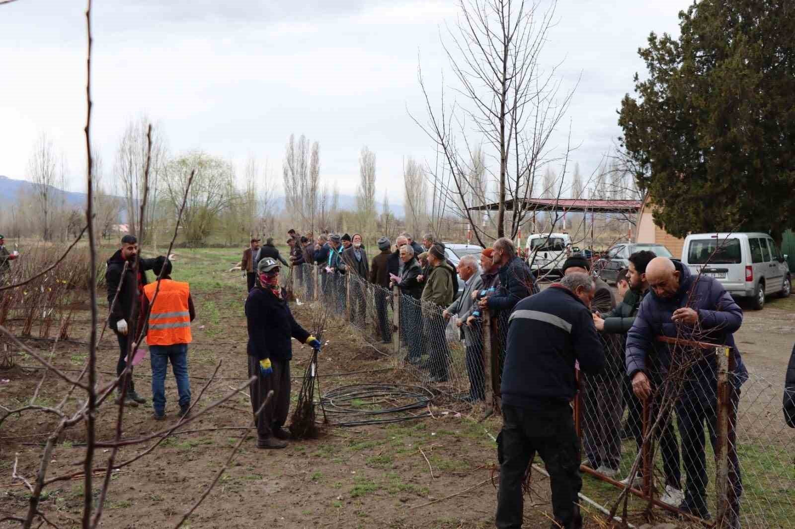 Meyve fidanı satışı 30 Mart'ta yapılacak