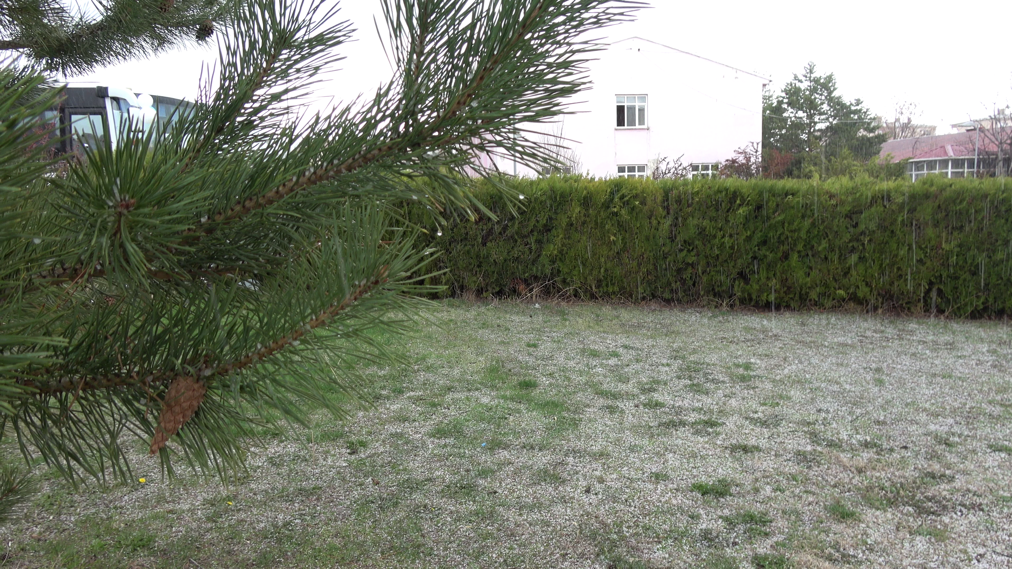 Dolu Yağişi Erzi̇ncan 30 Mart 2026 (2)