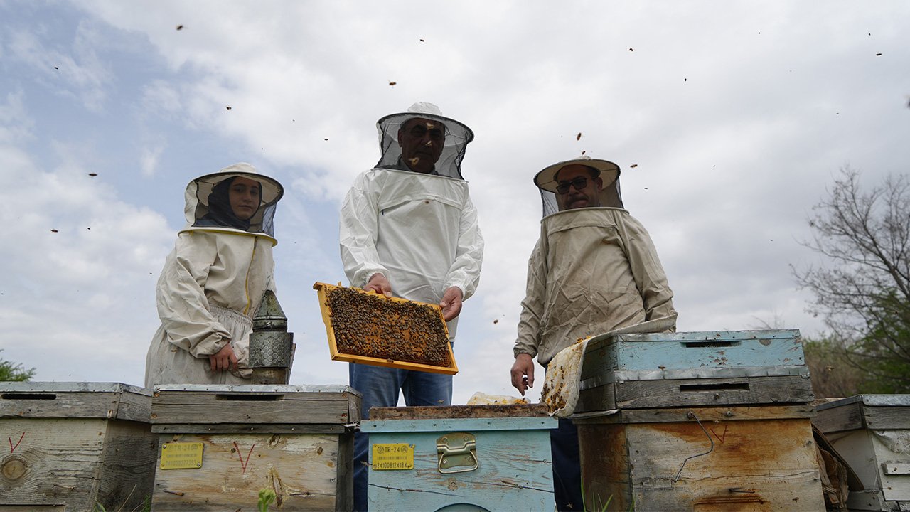 Erzi̇ncan Bal Yeni̇ Sezon 1