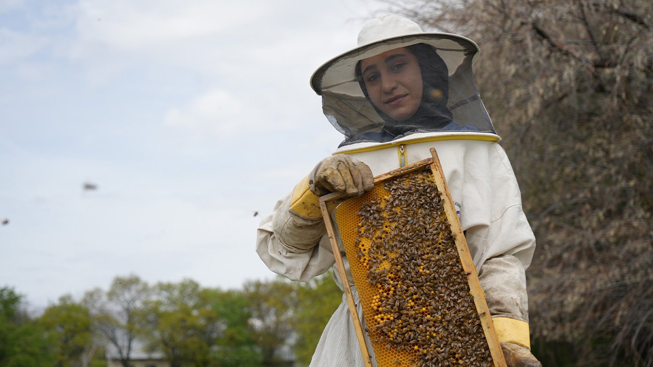 Erzi̇ncan Bal Yeni̇ Sezon 2