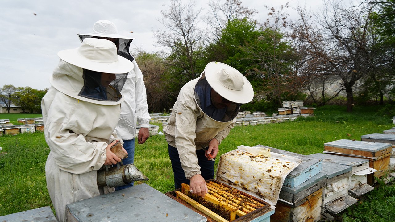 Erzi̇ncan Bal Yeni̇ Sezon 3