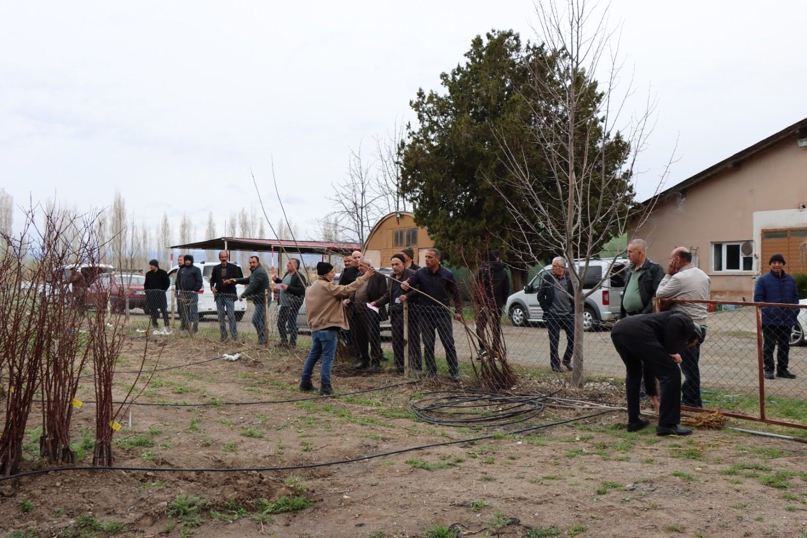 Meyve Fi̇dani Satişi (1)