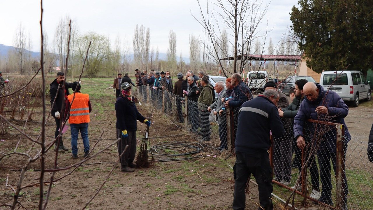 Meyve Fidanı Satışı 30 Mart'ta Yapılacak