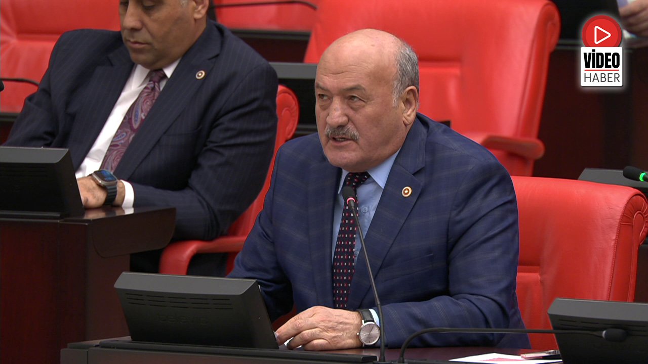 Milletvekili Karaman TBMM'de Konuştu
