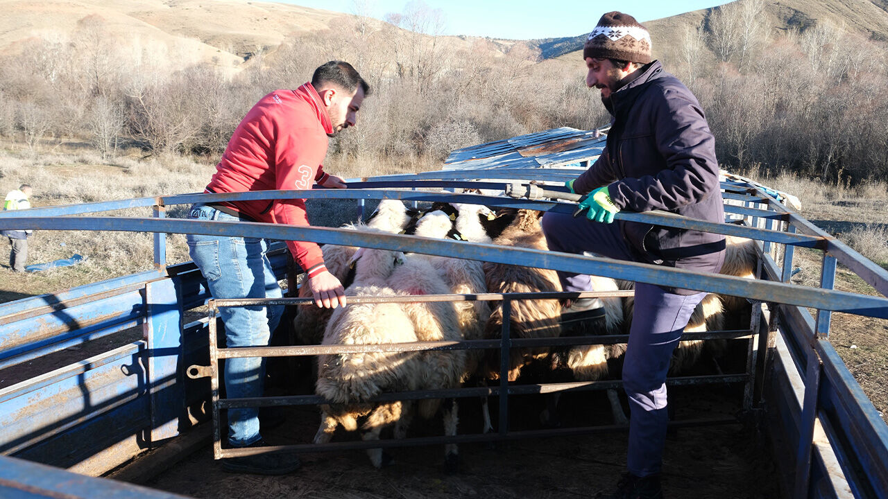 Sürü Sahi̇pleri̇ Göçerler 4