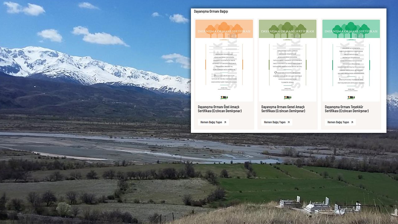 TEMA Vakfı’ndan Erzincan’da Dayanışma Ormanı Projesi