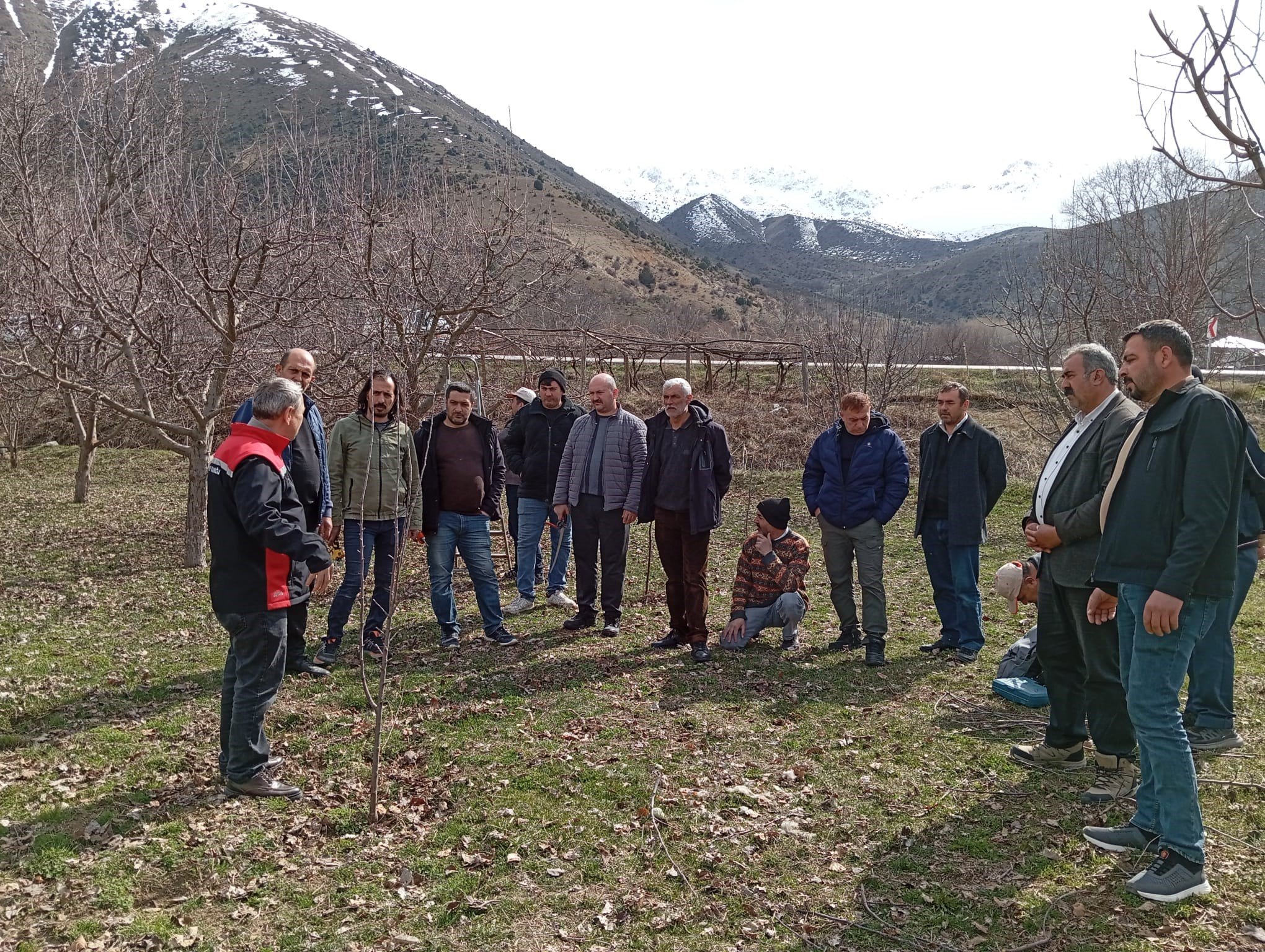 Budama Eği̇ti̇mleri̇ (2)