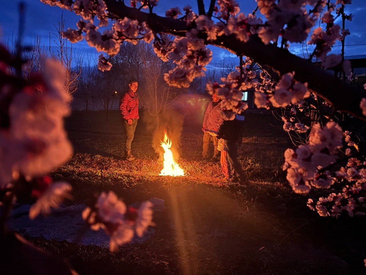 Çi̇ftçi̇ler Don Nöbeti̇ (2)