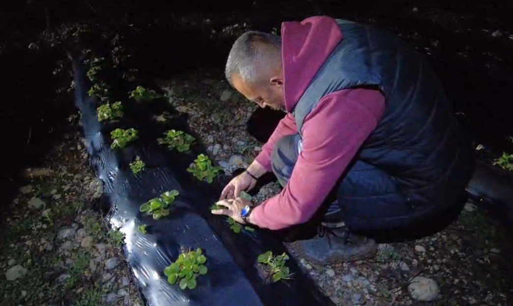 Dumanlama Yöntemi̇ (2)