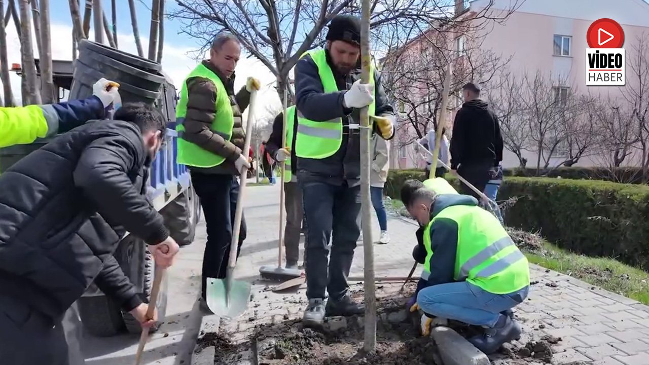 Başkan Aksun: “Daha Yeşil Bir Erzincan İçin Çalışıyoruz”