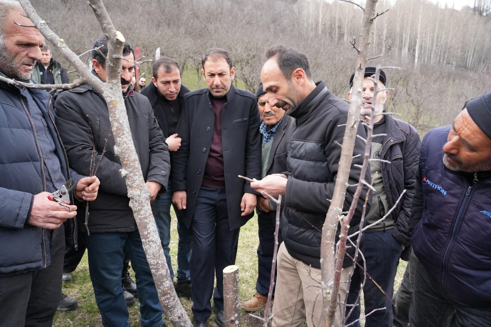 Erzi̇ncan Ardahan Budama Eği̇ti̇mi̇ 2