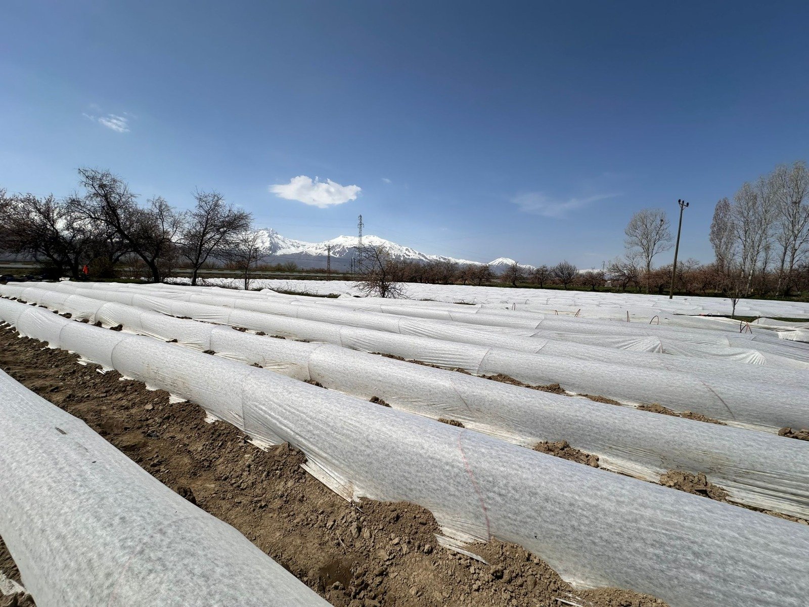 Kapya Bi̇ber Üzümlü (5)