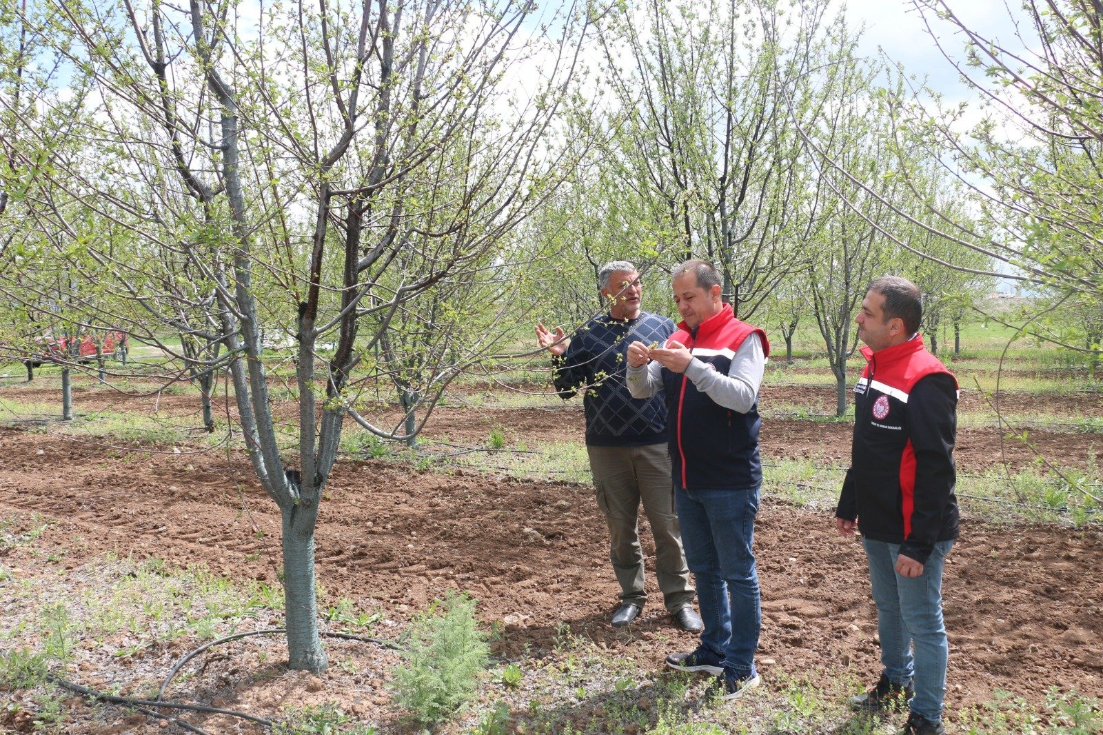 İl Tarim Yilmaz Toyran (1)