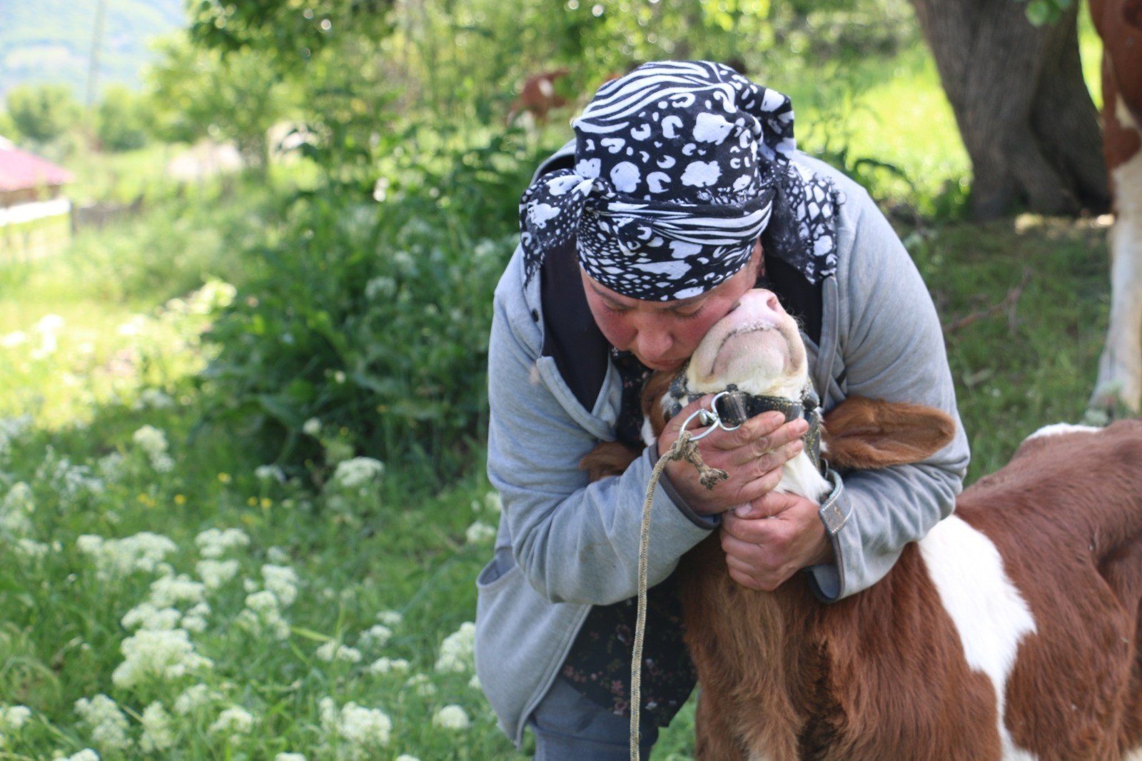 Üzümlü Yabanci Geli̇n (1)
