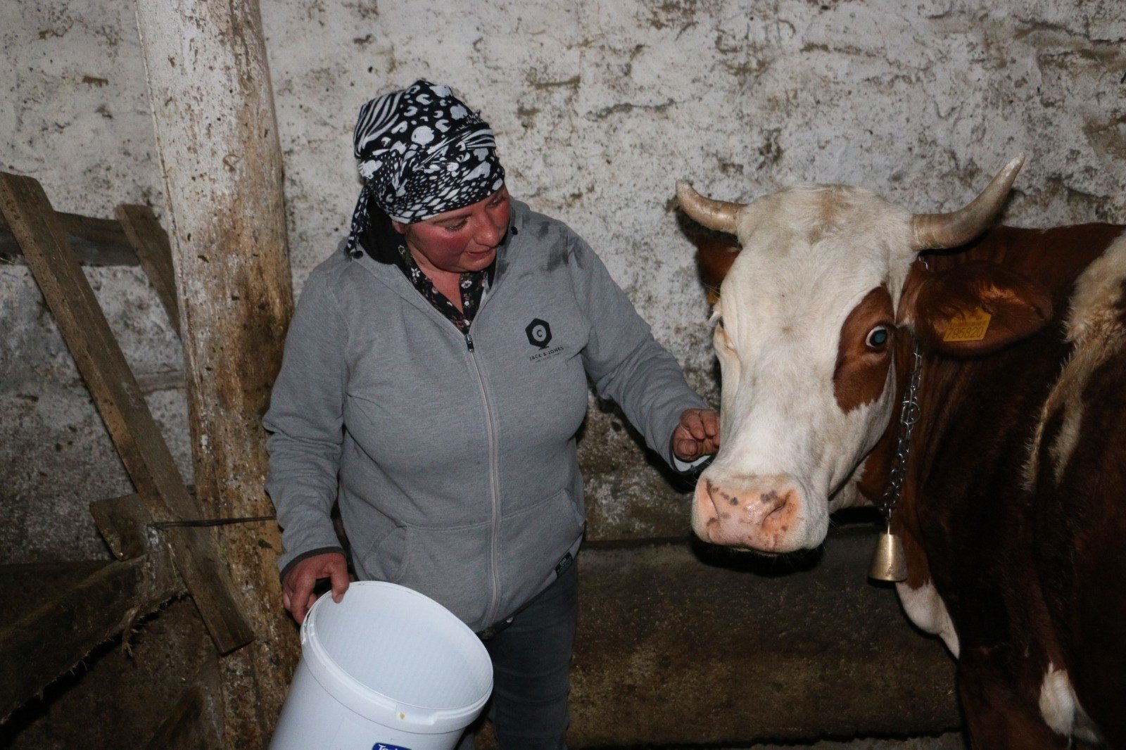 Üzümlü Yabanci Geli̇n (3)