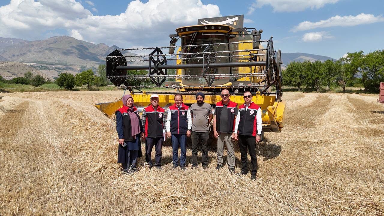 Buğday Hasat Bi̇çerdöver 2