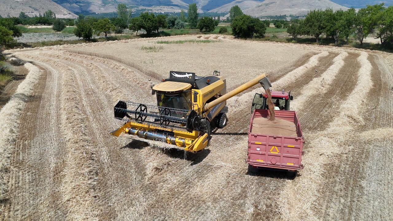 Buğday Hasat Bi̇çerdöver 3