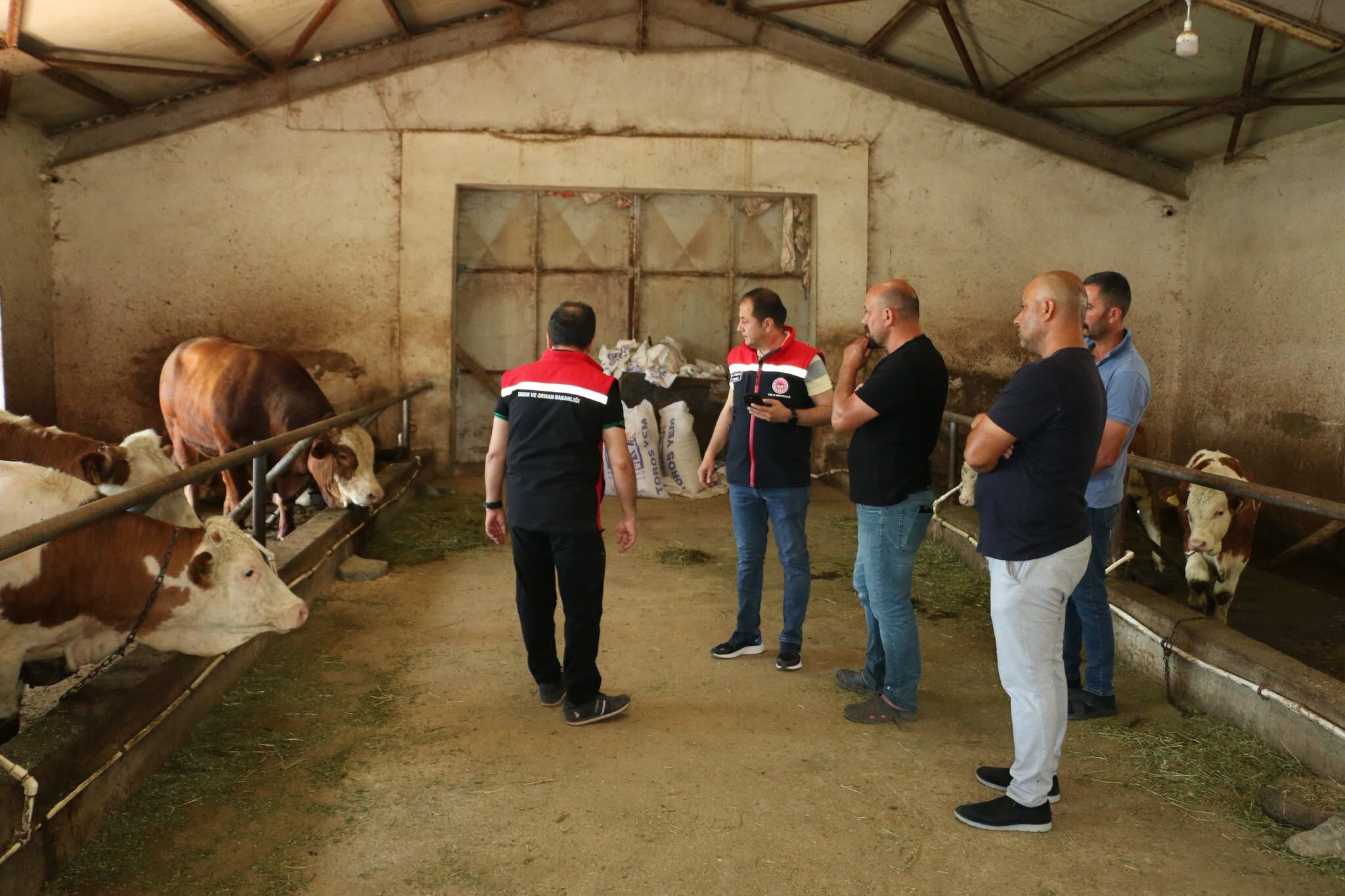 Müdür Koçaker Süt Tesi̇si̇ 2