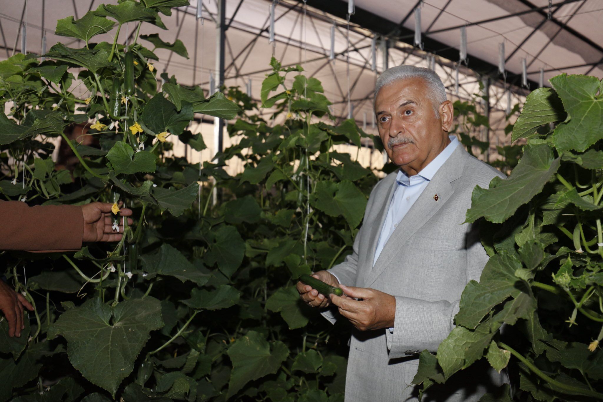 Çayirli Sera Projesi̇ 2