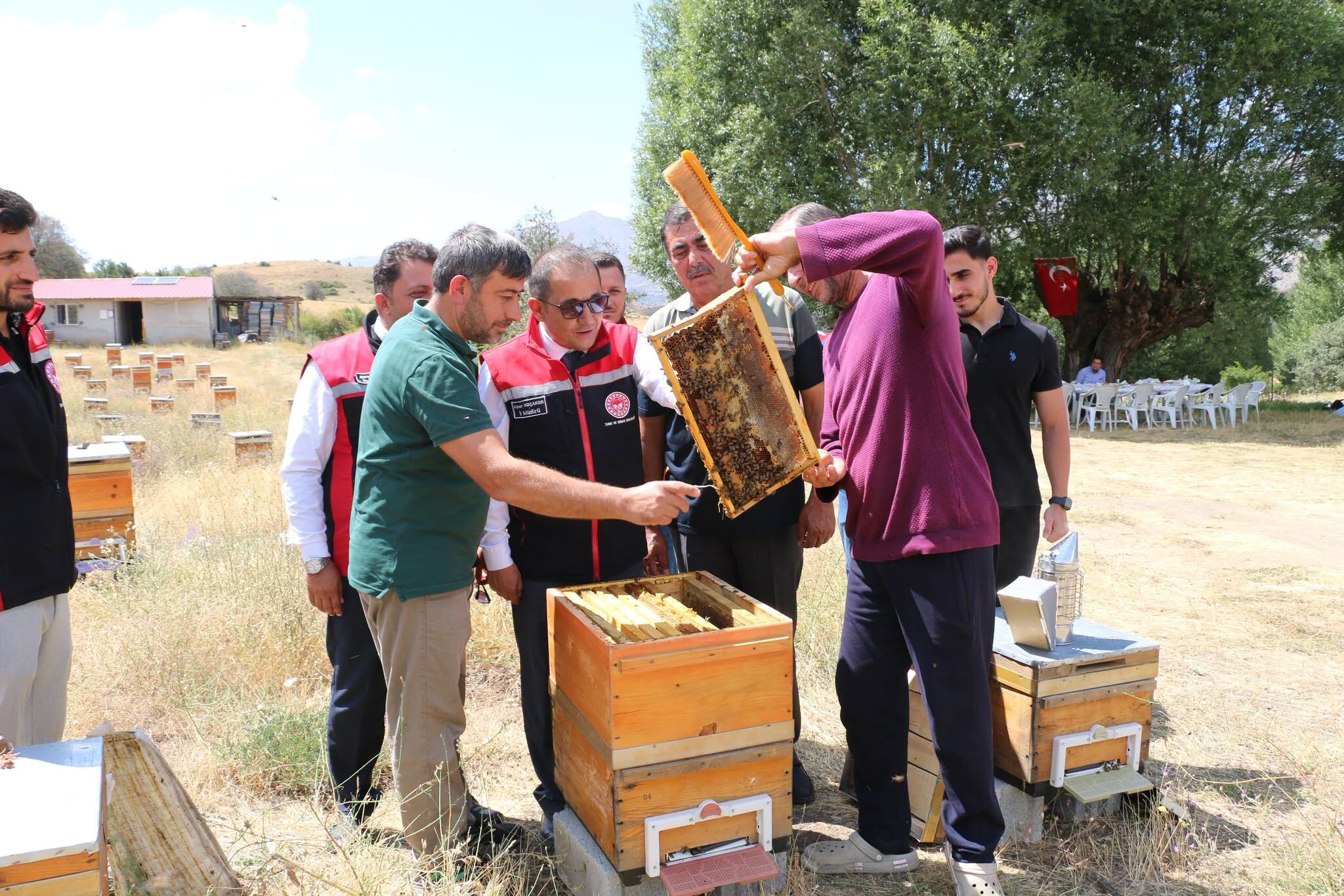 Erzi̇ncan Kovan Bal Bereket 2