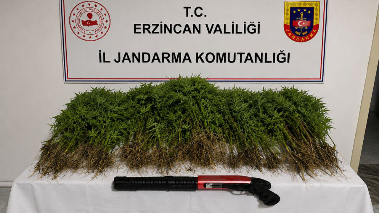 Tercan’da Narkotik Operasyonu: 1 Şüpheli Tutuklandı
