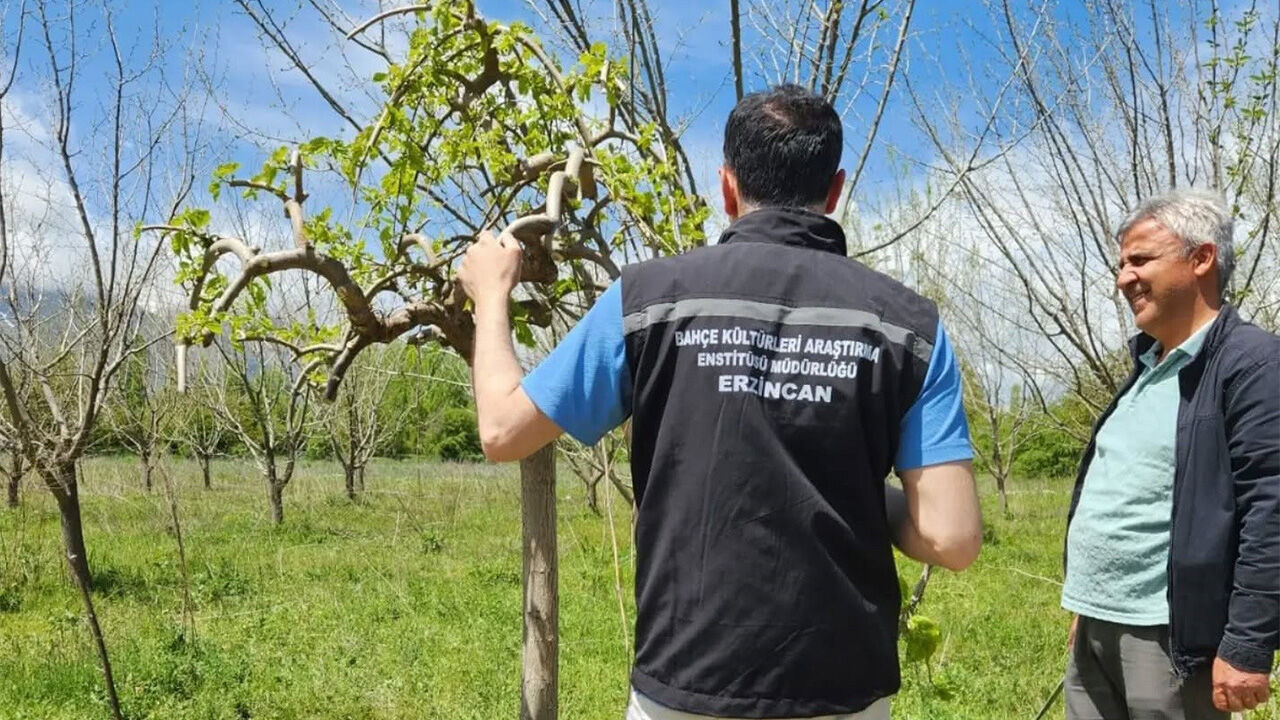 Erzincan'da Çiftçilere Sahada Teknik Destek