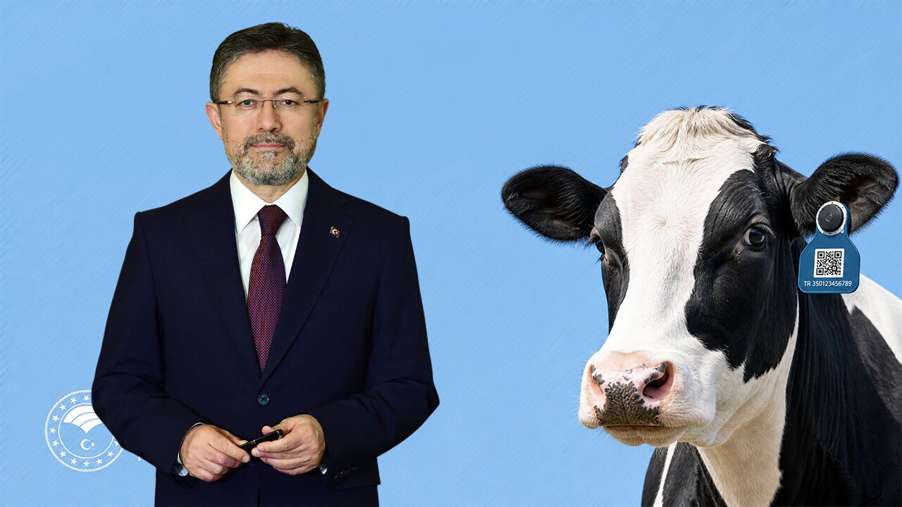 Her Büyükbaş Hayvana Dijital Kimlik Verilecek