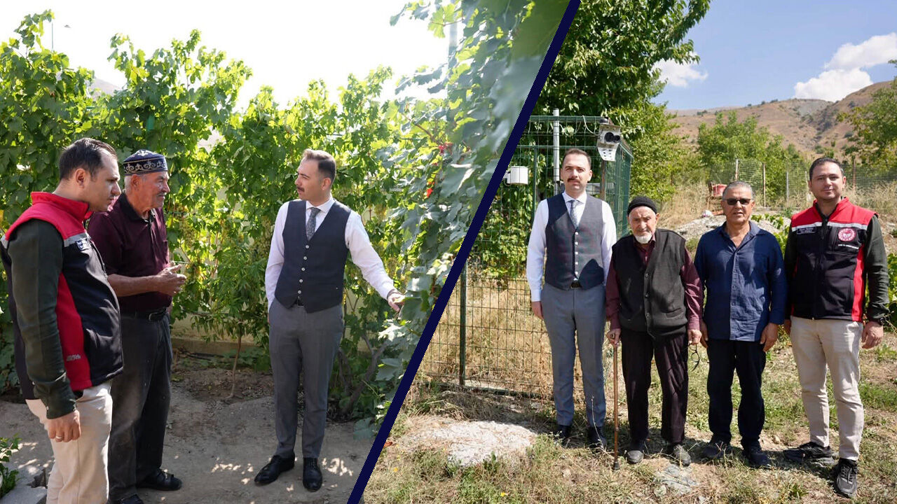 Hökelekli, Üzümlü’de Tarımsal Çalışmaları İnceledi