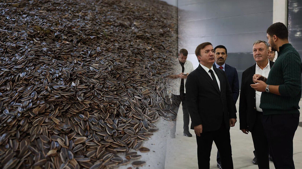 Ayçiçeği İşleme Tesisinde Günlük 100 Ton Üretim Hedefi