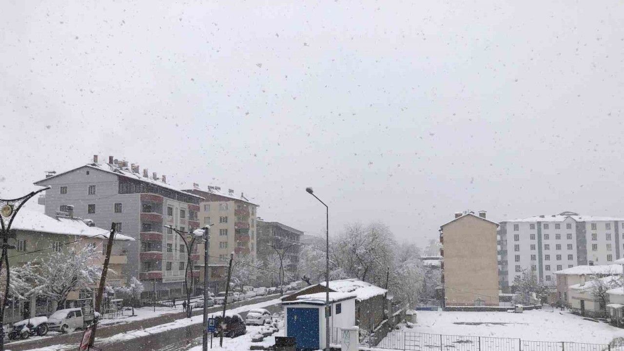 Hizan’da kar yağışı