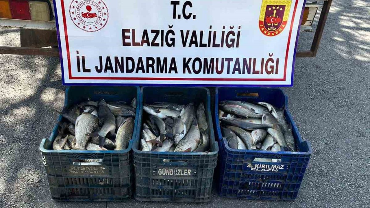 Elazığ’da kaçak balık avı yapan şüpheli yakalandı