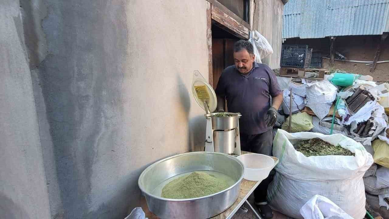 Doğanın Hediyesi: 120 Bitkiden Oluşan Baharat "Zetrin"