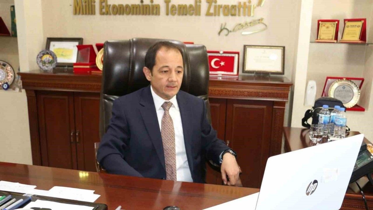 Erzincan'da Büyükbaş Hayvanların Yüzde 96.82’si Şap Hastalığına Karşı Aşılandı